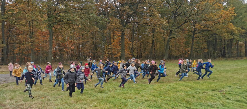 3 sportliche Aufgaben um den Schatz zu finden