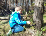 Unterschlupf bauen für die kleinen Waldbewohner